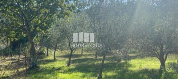 Grundstück in Sao Cristovao de Nogueira, Portugal 1260m², Nr. 55614 15