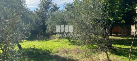 Grundstück in Sao Cristovao de Nogueira, Portugal 1260m², Nr. 55614 7