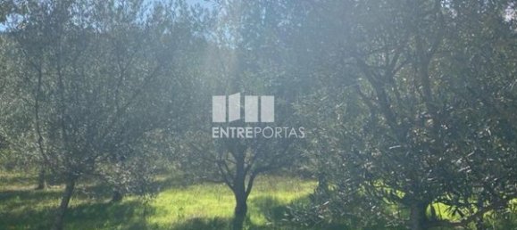 Grundstück in Sao Cristovao de Nogueira, Portugal 1260m², Nr. 55614 10