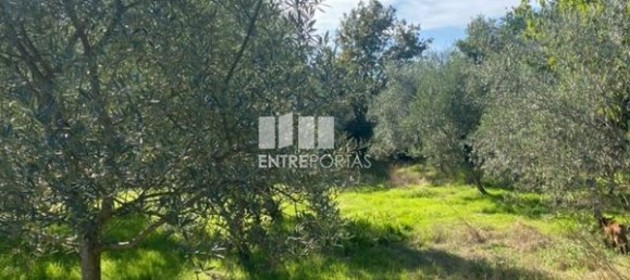 Grundstück in Sao Cristovao de Nogueira, Portugal 1260m², Nr. 55614 12