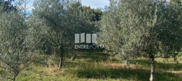 Grundstück in Sao Cristovao de Nogueira, Portugal 1260m², Nr. 55614 24