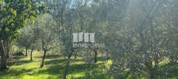 Grundstück in Sao Cristovao de Nogueira, Portugal 1260m², Nr. 55614 8