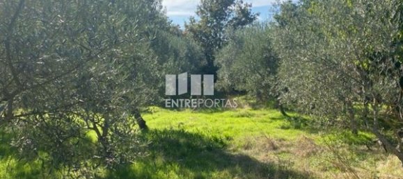 Grundstück in Sao Cristovao de Nogueira, Portugal 1260m², Nr. 55614 3