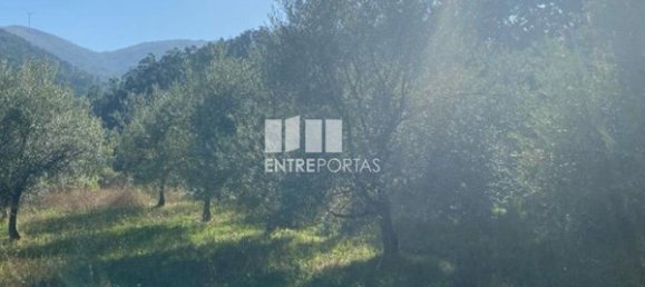 Grundstück in Sao Cristovao de Nogueira, Portugal 1260m², Nr. 55614 18