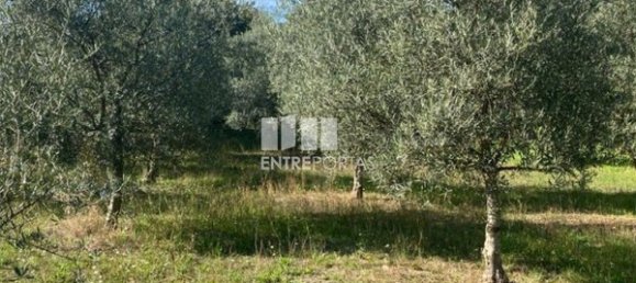 Grundstück in Sao Cristovao de Nogueira, Portugal 1260m², Nr. 55614 26