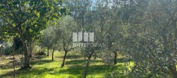 Grundstück in Sao Cristovao de Nogueira, Portugal 1260m², Nr. 55614 19