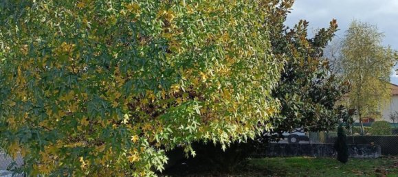 3 chambres Maison à Chauffailles, France No. 202841 4