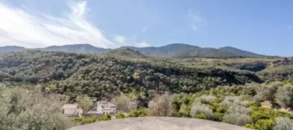 6000m² Land in Lucar, Spain No. 142927 14