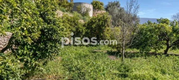 6000m² Land in Lucar, Spain No. 142927 16