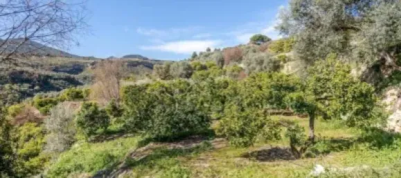 6000m² Land in Lucar, Spain No. 142927 6