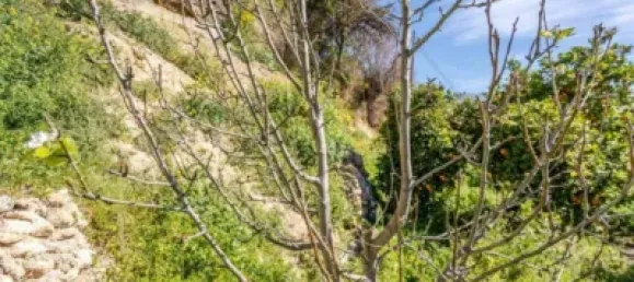 6000m² Land in Lucar, Spain No. 142927 7