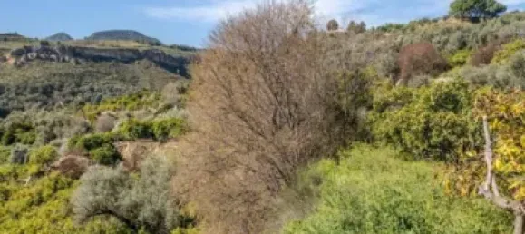 6000m² Land in Lucar, Spain No. 142927 3