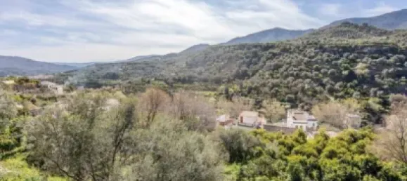 6000m² Land in Lucar, Spain No. 142927 13