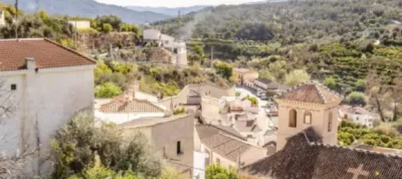 6000m² Land in Lucar, Spain No. 142927 10