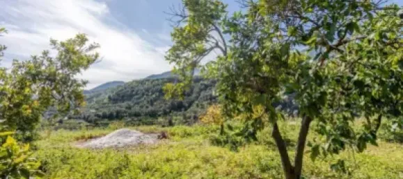 6000m² Land in Lucar, Spain No. 142927 4