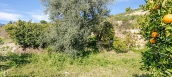6000m² Land in Lucar, Spain No. 142927 9