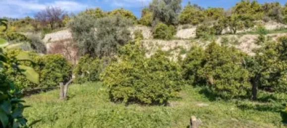 6000m² Land in Lucar, Spain No. 142927 18