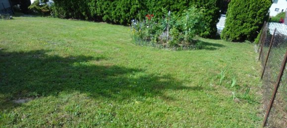 2 rooms House in Zobern, Austria No. 236616 19