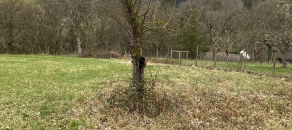 Terrain à Rems-Murr-Kreis, Germany 1077m² No. 742 2