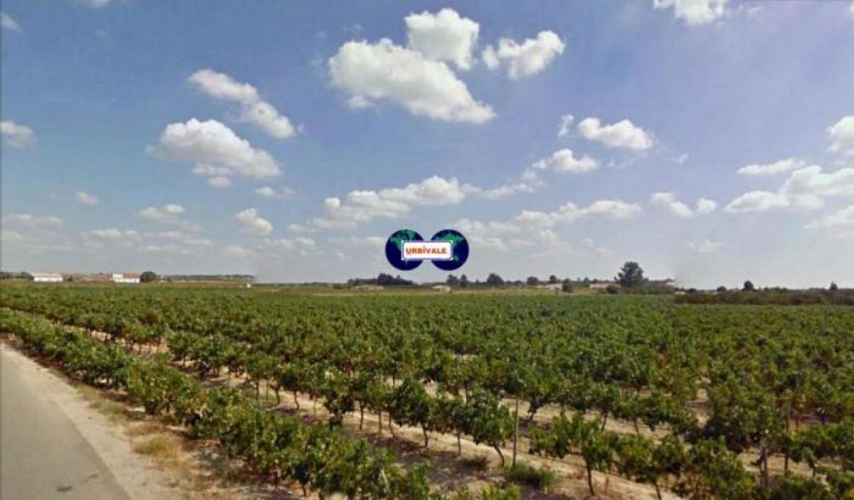 Grundstück in Palmela, Portugal, Nr. 8524