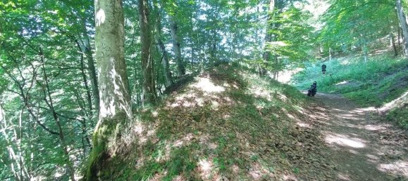 3 bedrooms House in Zocca, Italy No. 260888 47