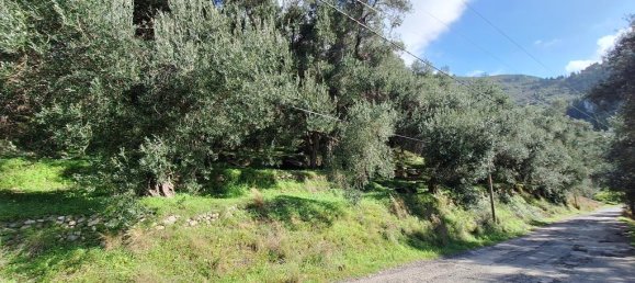 Terra em Corfu, Greece 5565 m² N.º 105017 6