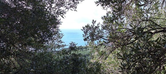 Terra em Corfu, Greece 5565 m² N.º 105017 15