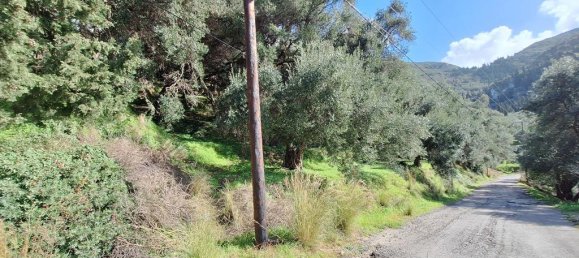 Terra em Corfu, Greece 5565 m² N.º 105017 4