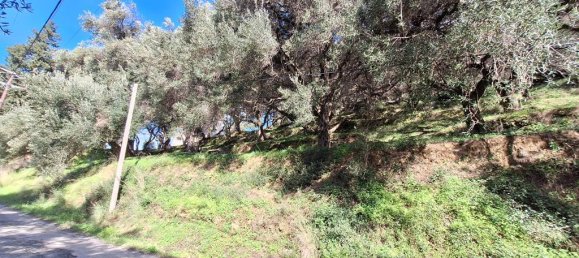Terra em Corfu, Greece 5565 m² N.º 105017 5