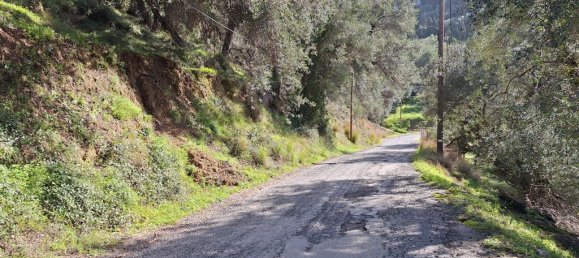 Terra em Corfu, Greece 5565 m² N.º 105017 3