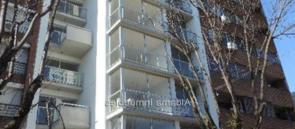 استوديو في Montevideo, Uruguay رقم 11755