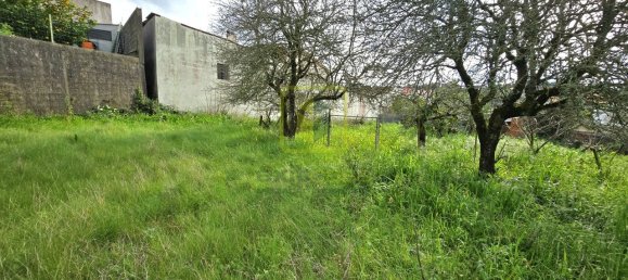 1 bedroom House in Figueira da Foz, Portugal No. 73961 31