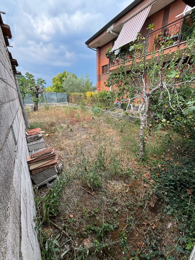 2 rooms House in Frosinone, Italy No. 255940