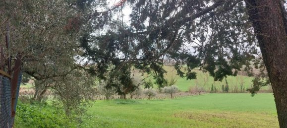 8-Zimmer Haus in Gradara, Italy, Nr. 18118 15