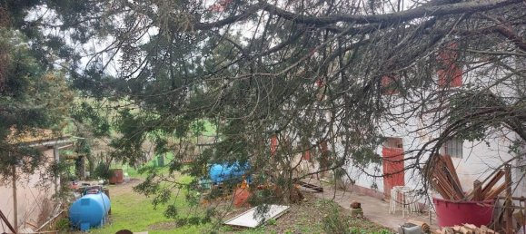 8-Zimmer Haus in Gradara, Italy, Nr. 18118 12