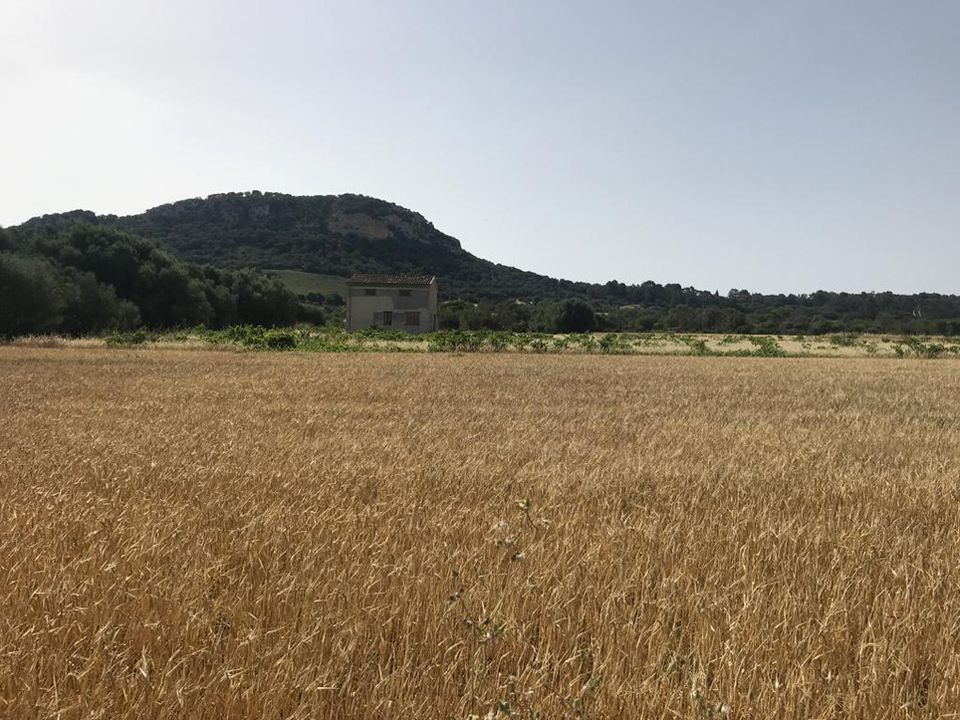 Земельный участок в Аликанте, Испания № 240812