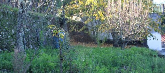 1 bedroom House in Penajoia, Portugal No. 83181 5