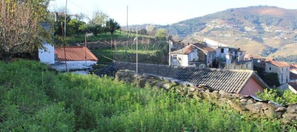 1 bedroom House in Penajoia, Portugal No. 83181 6