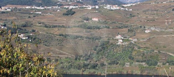 1 bedroom House in Penajoia, Portugal No. 83181 8