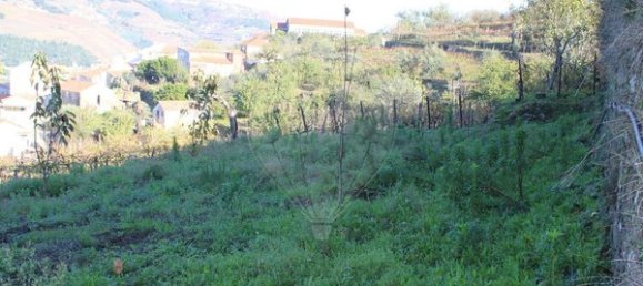 1 bedroom House in Penajoia, Portugal No. 83181 4