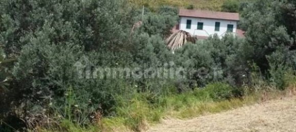 5 Schlafzimmer Villa in Reggio Calabria, Italy, Nr. 343542 3