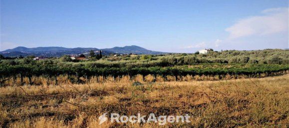 10000m² Land in Lanuvio, Italy No. 318399 10