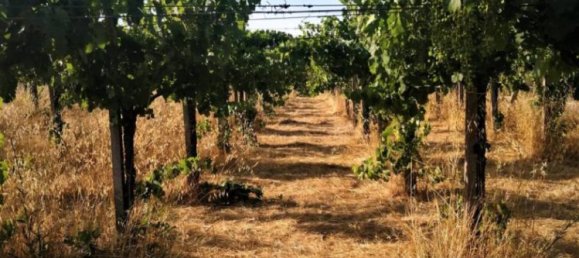 10000m² Land in Lanuvio, Italy No. 318399 13