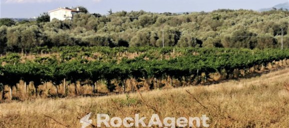 10000m² Land in Lanuvio, Italy No. 318399 4