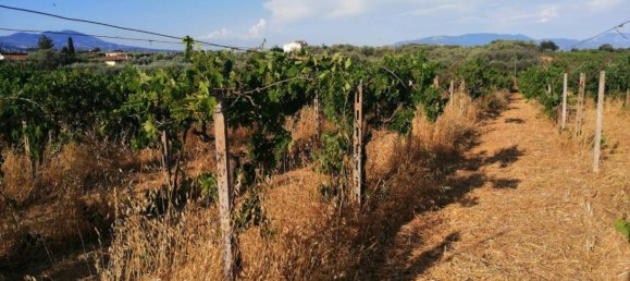 10000m² Land in Lanuvio, Italy No. 318399 9