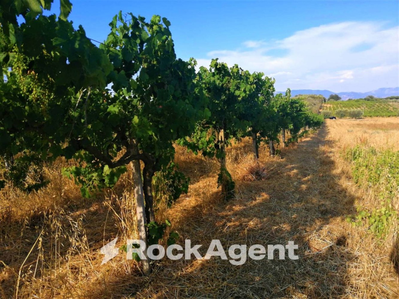 10000m² Land in Lanuvio, Italy No. 318399