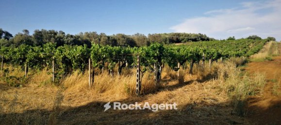 10000m² Land in Lanuvio, Italy No. 318399 5