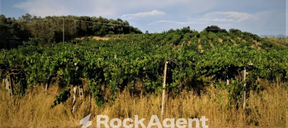 10000m² Land in Lanuvio, Italy No. 318399 11