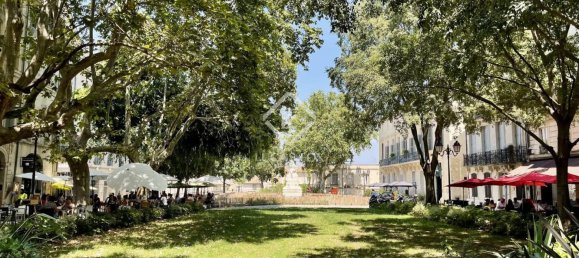 12 bedrooms House in Montpellier, France No. 302733 8