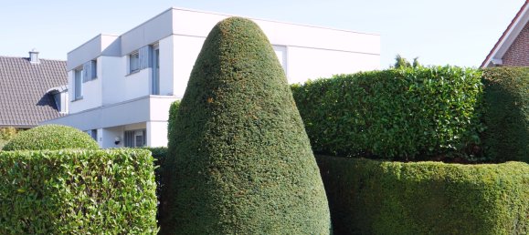 6-Zimmer Haus in Cloppenburg, Germany, Nr. 278047 2